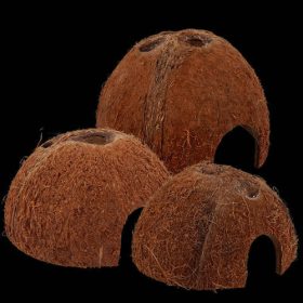   Repti Planet Coconut shell - kókuszhéj ház (S) terráriumi állatok részére