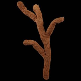   Repti Planet Coco troncho - dekoráció (kókuszrost ág) terráriumokba (80cm)