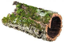 Trixie Cork Tunnel - Parafa bújó hüllők részére Ø30/75cm