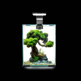   Aquael Shrimp Set Smart Day&Nnight 30 black - Nano akvárium (fekete) garnélarákoknak és kisebb halaknak (29x29x35cm)