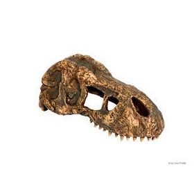   Exo-Terra T-Rex Skull Small - T-Rex koponya formájú búvóhely hüllők részére (7x15x6cm)