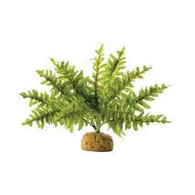   Exo-Terra Rainforest Plant Boston Fern Small - Terráriumi műnövény dekoráció (szoba páfrány) cca.10cm