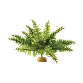   Exo-Terra Rainforest Plant Boston Fern Medium - Terráriumi műnövény dekoráció (szoba páfrány) cca.20cm