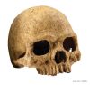 Exo-Terra Primate Skull - főemlős koponya formájú búvóhely hüllők részére (12cm)
