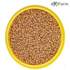   JBL PRONOVO LOTL GRANO S 100ml + CLICK - Granulált alaptáp kisméretű, 3-10 cm-es axolotloknak