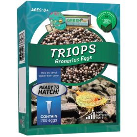 Triops Granarius peték keltetéshez-Triops Granarius Eggs