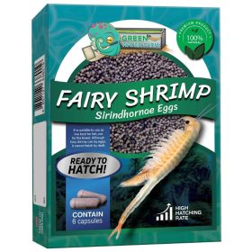   Sirindhornae tündérrák pete keltetéshez- Streptocephalus sirindhornae eggs- Fairy Shrimp