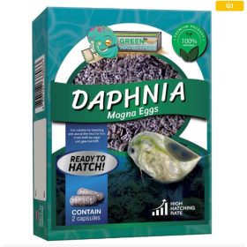 Vizibolha pete keltetéshez-Daphnia magna eggs