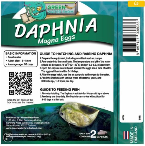 Vizibolha pete keltetéshez-Daphnia magna eggs