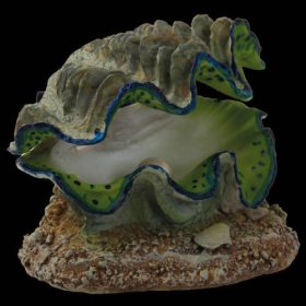   Aqua Excellent Clam Moved whit Air Bubble - levegőpumpa (kagyló forma) 12x10x5,5cm