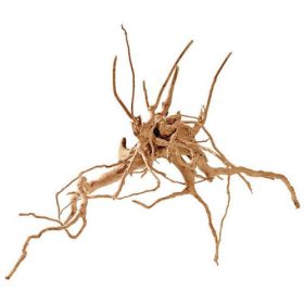  Finger wood - dekoráció (fagyökér) akváriumokba M-es (25-35cm)