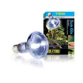 H.EXO-TERRA 2182 halogen 75w izzó