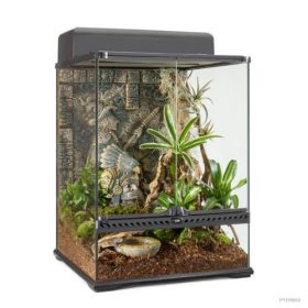   Exo-terra Aztec Terrarium Small Tall - Azték témájú, dekoratív, üvegterrárium (45x45x60cm)