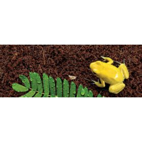   Exo-Terra Plantation Soil - kókuszrost talaj terráriumokba- (3 x 8,8 l)