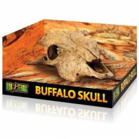   Exo-Terra Buffalo Skull - bölény koponya formájú búvóhely hüllők részére (13x9x24cm)