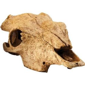   Exo-Terra Buffalo Skull - bölény koponya formájú búvóhely hüllők részére (13x9x24cm)