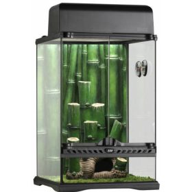   Exo-Terra Bamboo Forrest terrárium Small - Dekoratív kivitelű üvegterrárium (30x30x45cm)
