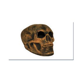 AquaDeckor - kerámia koponya (M) - akváriumba (cca.15cm)