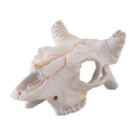   Hagen Exo Terra Primate Skull - búvóhely (bivaly koponya) terráriumokba