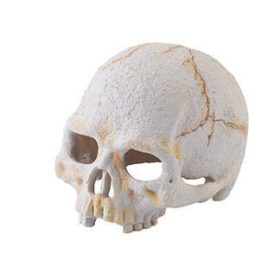   Hagen Exo Terra Primate Skull - búvóhely (koponya formájú) terráriumokba