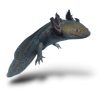 Vadas axolotl (ifjoncok)
