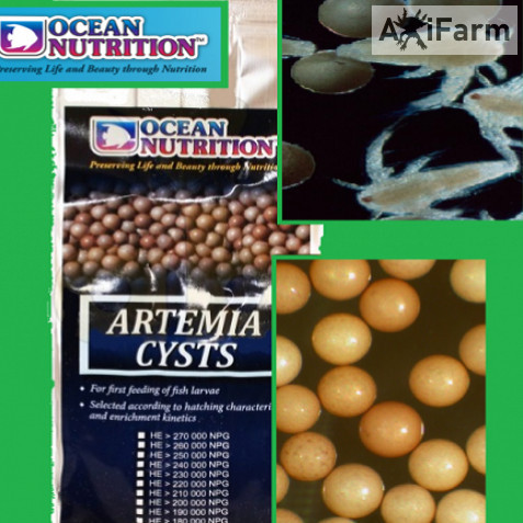 Artemia pete, sórák pete- Ocean Nutrition 150 ml/ 90 g - axolotl bébi kikeléstő -3 cm-es méretig való tápláláshoz