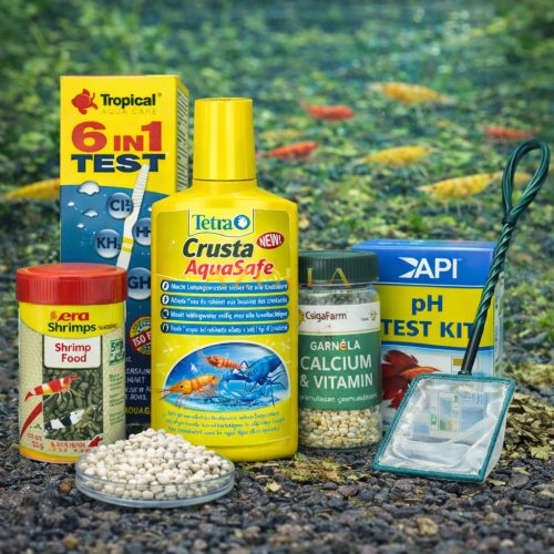 20 db Neocaridina Garnéla Kezdő Csomag – Teljes Induló Szett