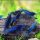 20 db "Hupikék törpike" garnéla - Neocaridina sp. var blue (vegyes kék garnéla csapat)